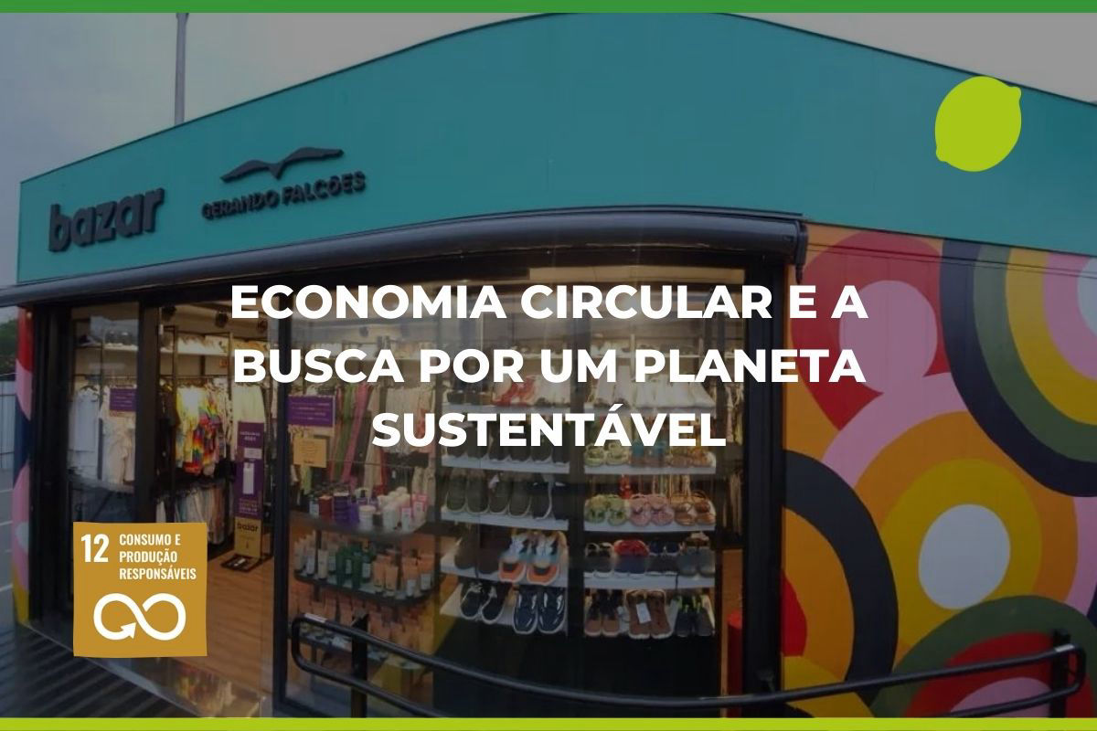 Economia Circular e a Busca por um Planeta Sustentável